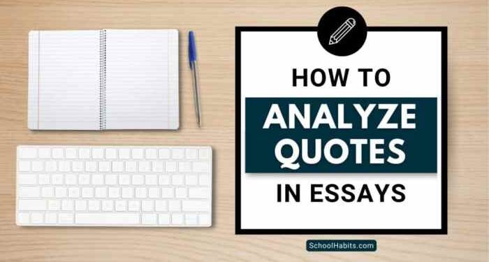How to analyze quotes in essays: A step-by-step guide - SchoolHabits